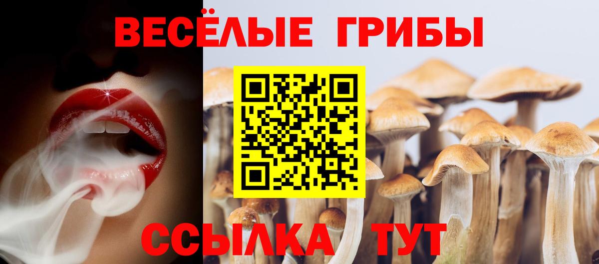 Псилоцибиновые грибы GOLDEN TEACHER  Вход с VPN  Костомукша 